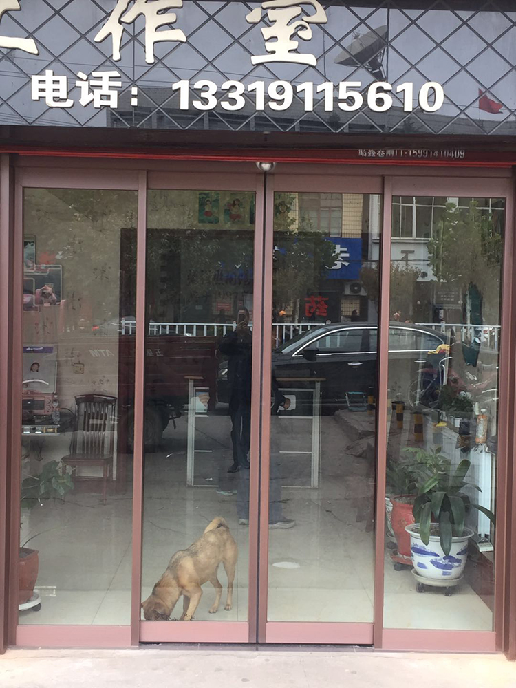 延安兒童攝影商鋪門店自動(dòng)門